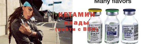 крисы Алексин