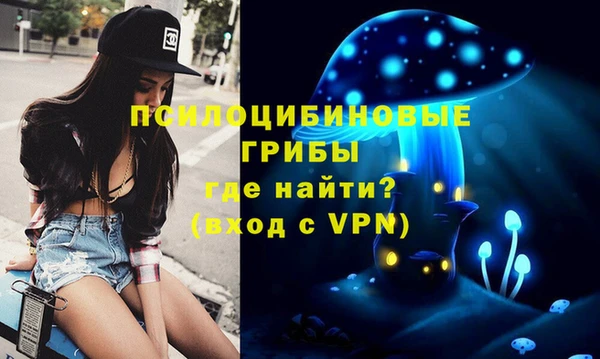 прущая мука Алзамай
