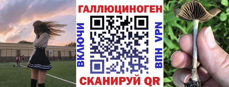 Галлюциногенные грибы мицелий  Цивильск 